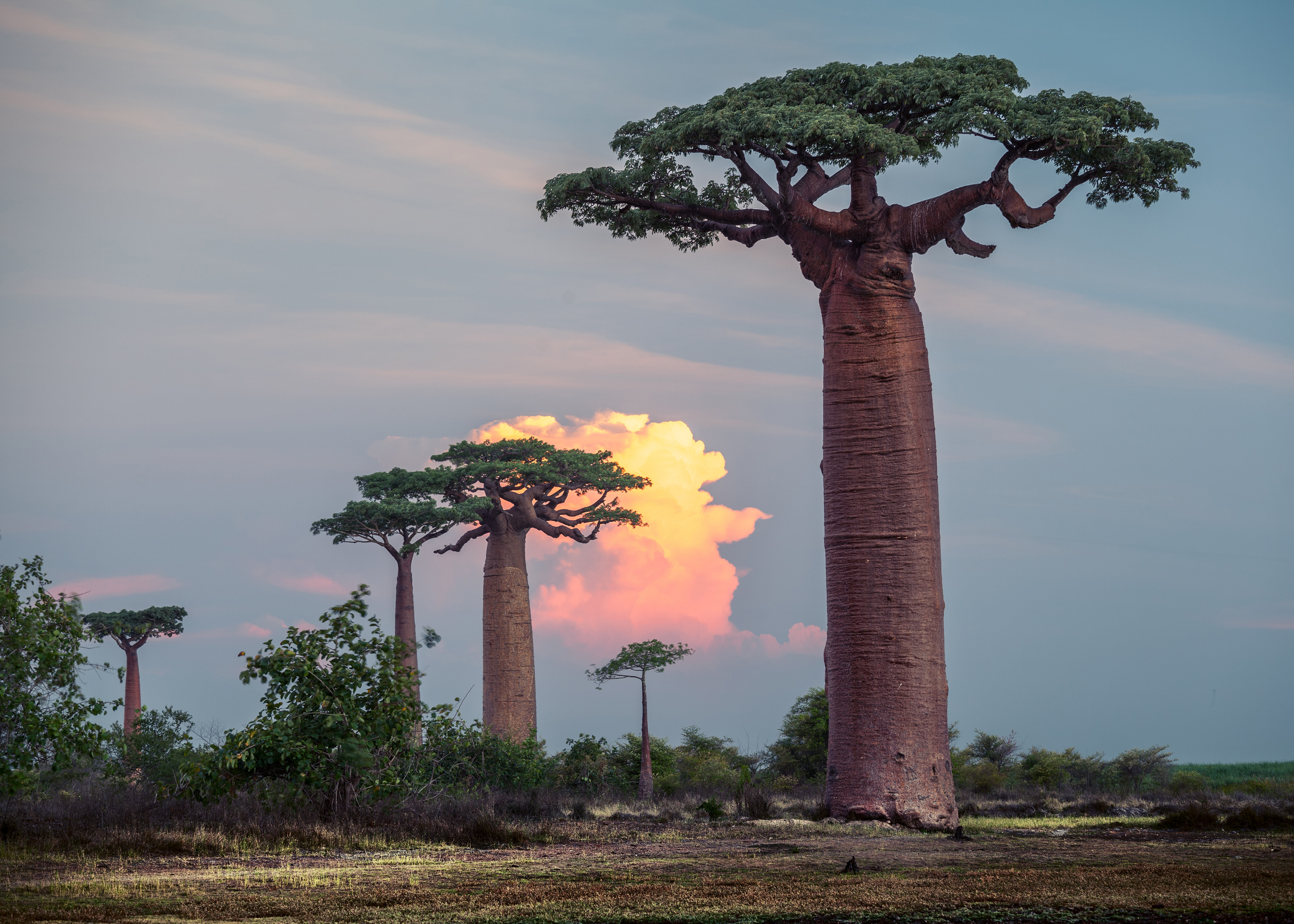 Best Time to Visit Madagascar: A Comprehensive Guide