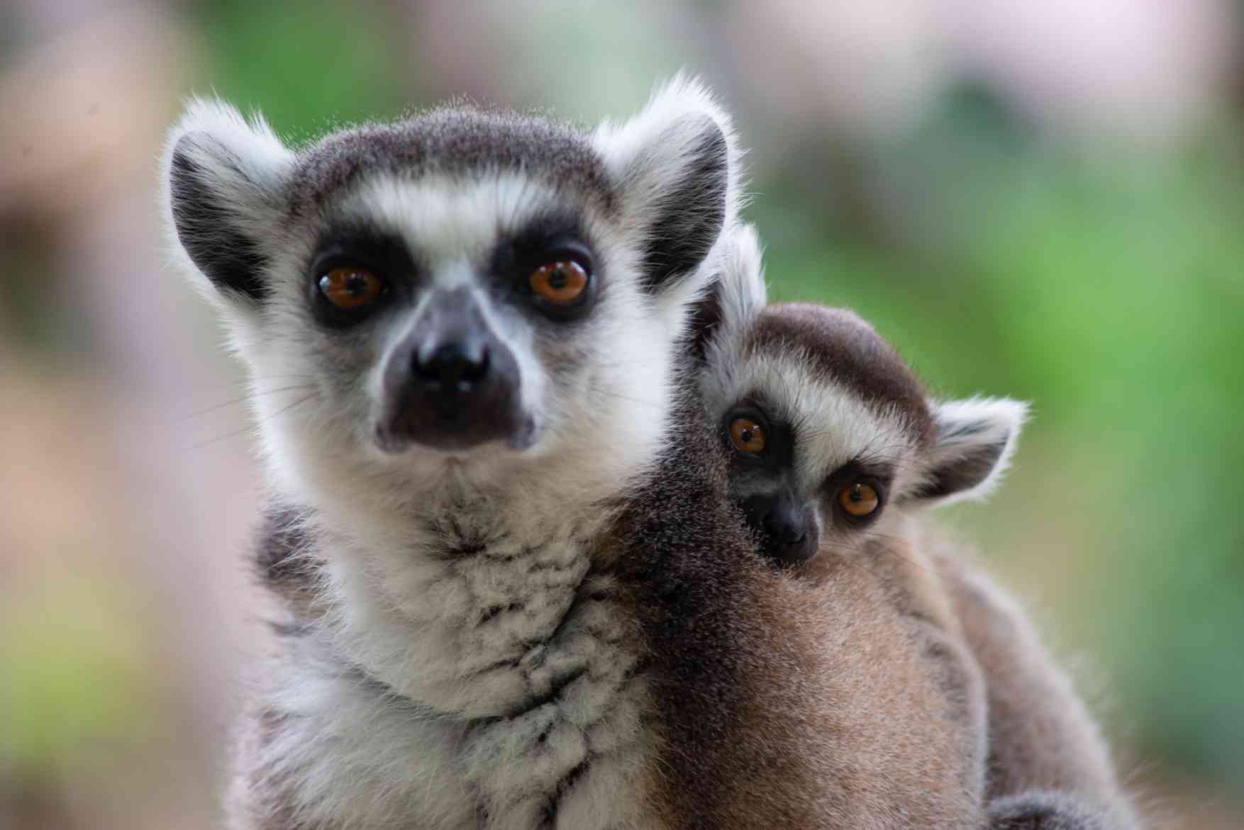 Masoala National Park