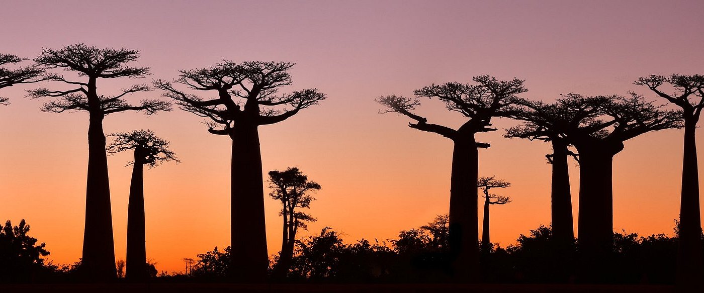 Top Sightseeing Destinations to Explore in Madagascar