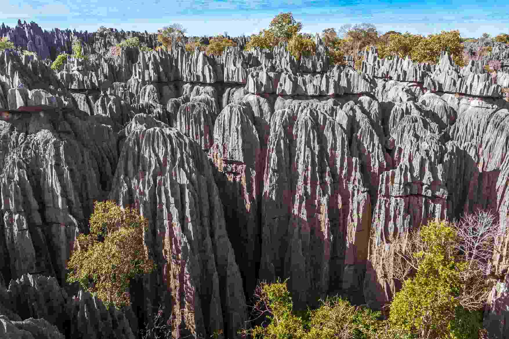 Tsingy de Bemaraha Strict Nature Reserve