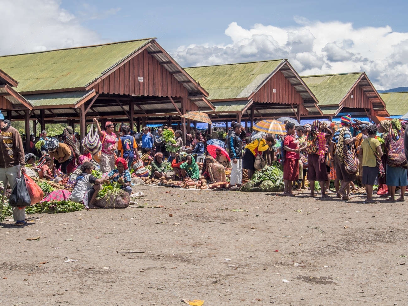 Western Madagascar's Gems